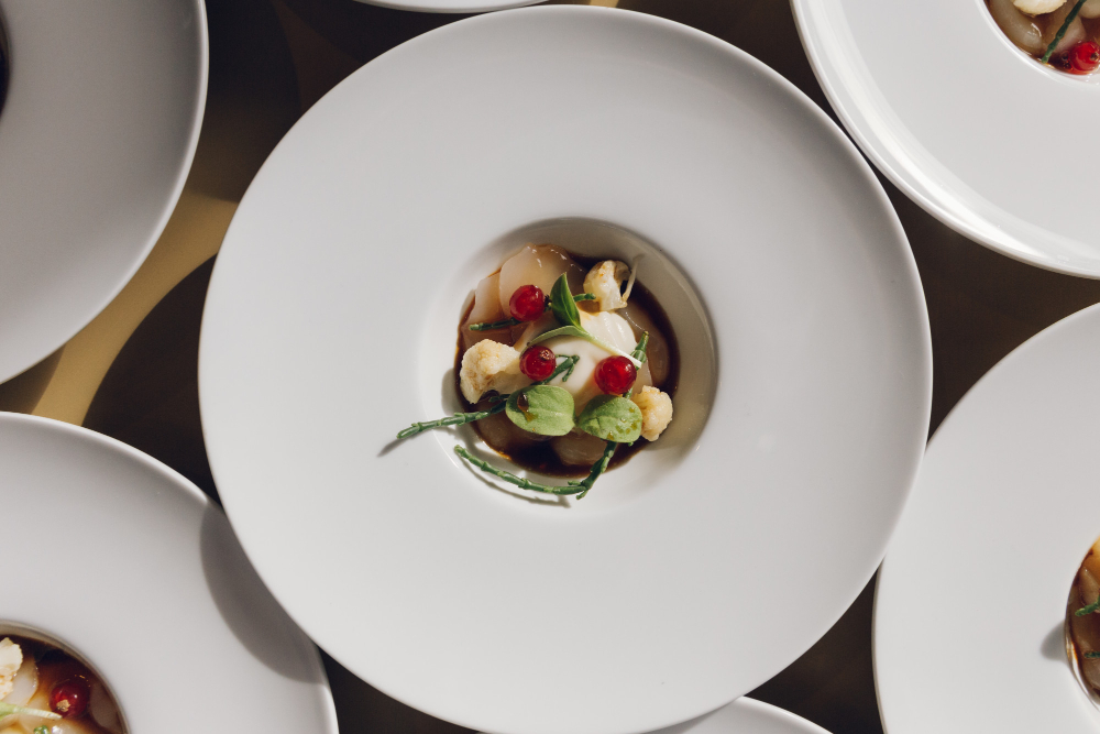 Özenli Sunum Yaklaşımları